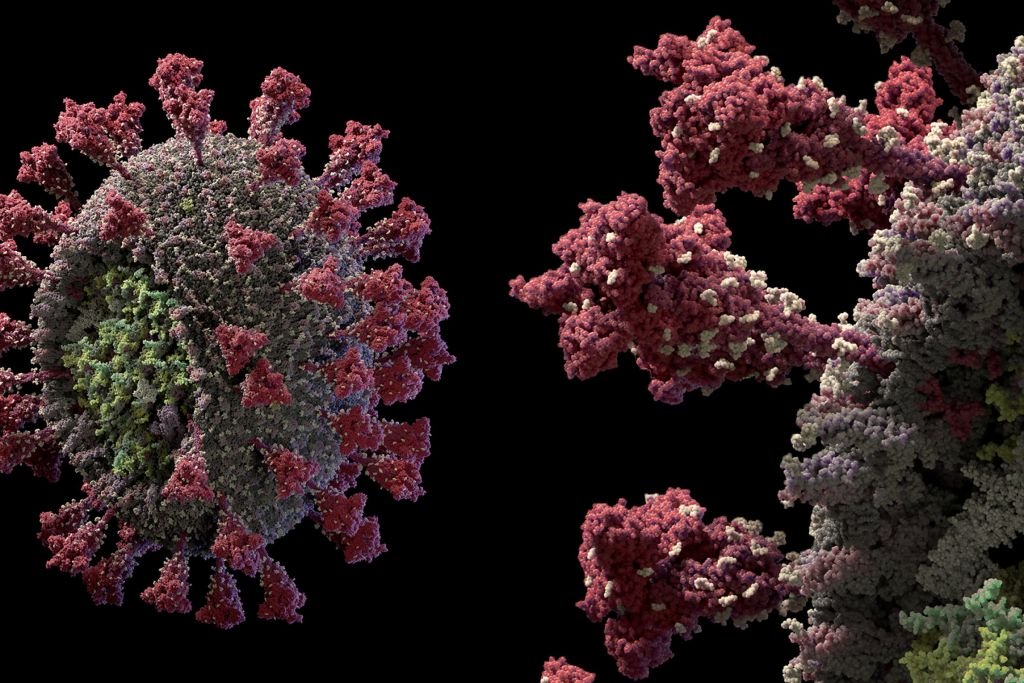 Imunidade ao coronavírus pode ser maior do que a prevista, aponta pesquisa.